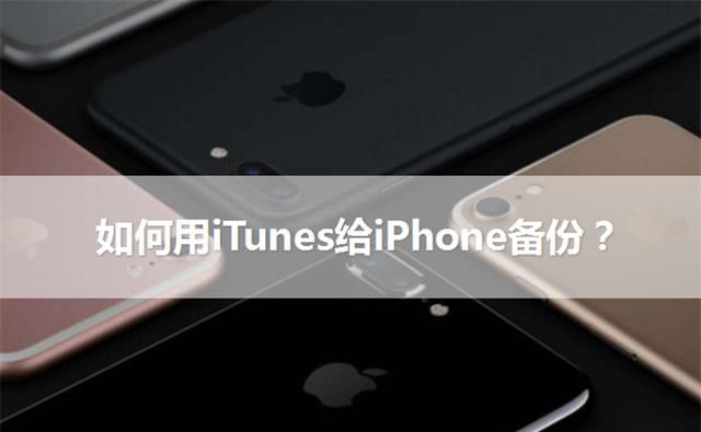 itunes如何备份苹果手机图1