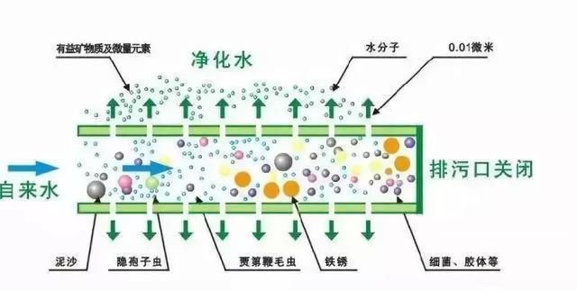 自来水过滤器和净水器哪个好图2