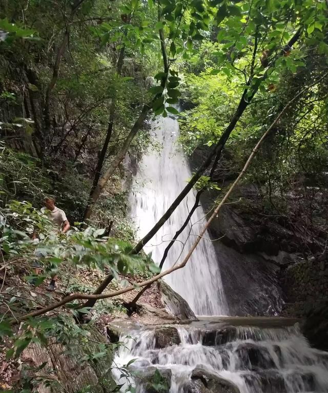 古诗中的意象指的是什么意思(中国古诗词中的意象是指什么意思)图5