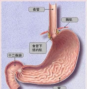 喉咙有灼热感是什么原因(喉咙经常有灼热感是什么情况)图1