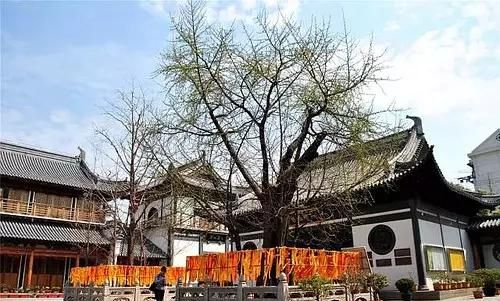 上海哪里有寺院(上海免费寺院)图11