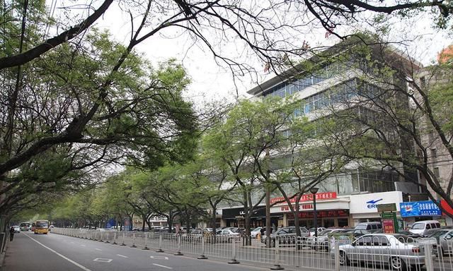 为何西安东大街繁荣不在北京,西安热闹的东大街现在怎么啦图10