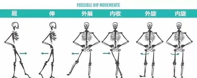 瑜伽的牛面式怎样做才合适图10