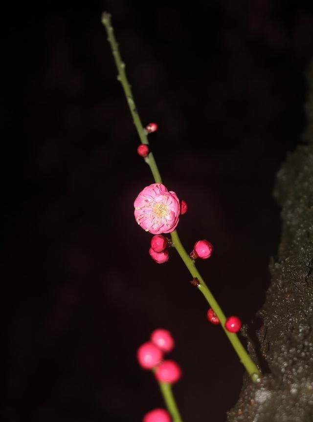 人性的阴暗面到底有多么可怕,怎么样才能见识人性的阴暗面图4