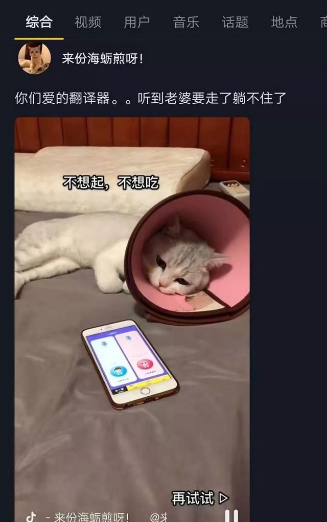 有哪些宠物软件,宠物交易app软件哪个最好图1