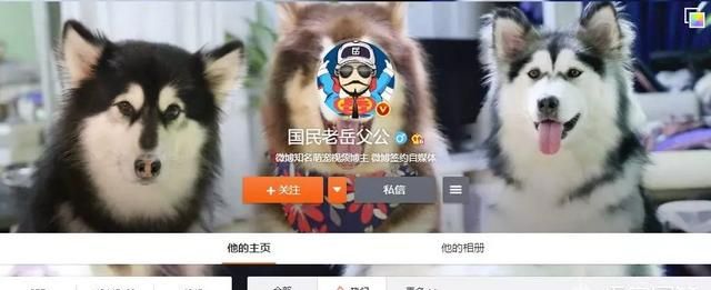 有哪些宠物软件,宠物交易app软件哪个最好图2