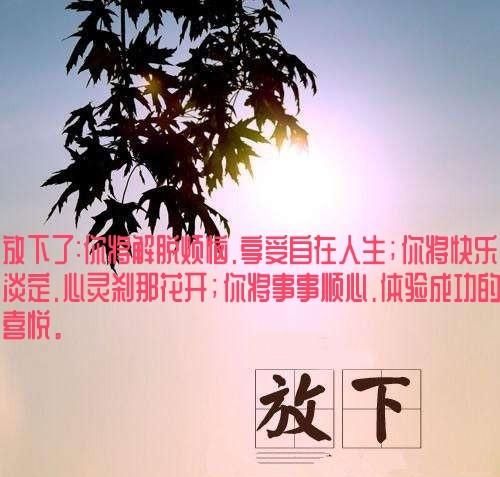 什么才叫放下一个人(叫人放下的句子)图6