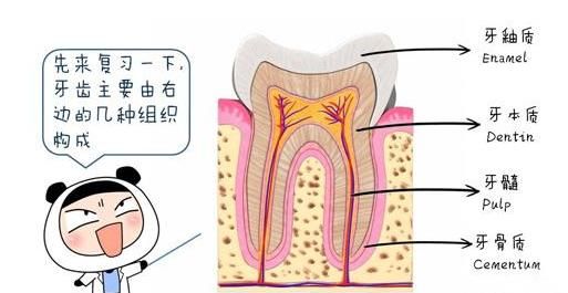 儿童牙齿表面有黑点怎么办,3岁儿童牙齿中间有个黑点图2