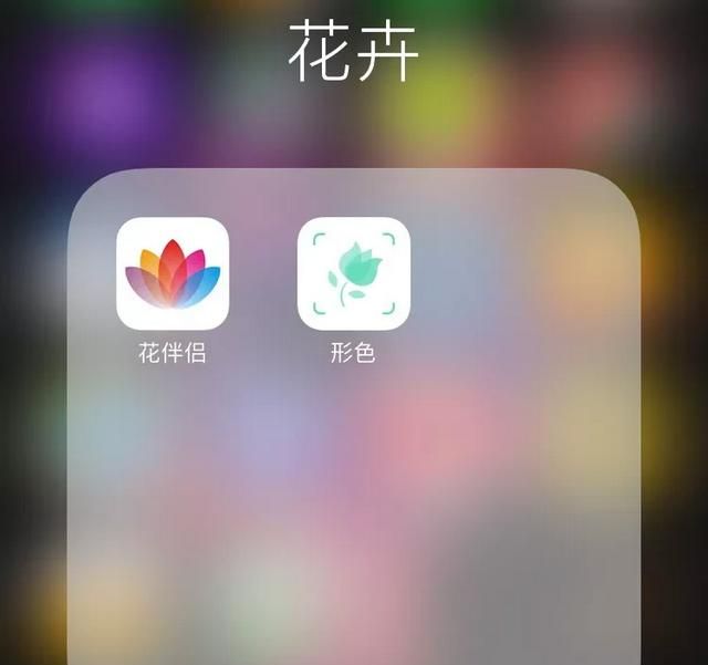 遇到不能识别的植物怎么知道名字图7