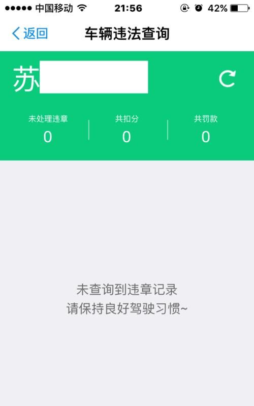 怎么用手机查驾驶证违章呢图11