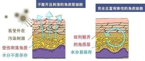 如何正确护肤,如何正确护肤和淡斑图12