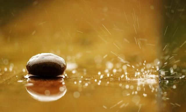 古诗中怎么写雨(春路雨添花古诗词)图1