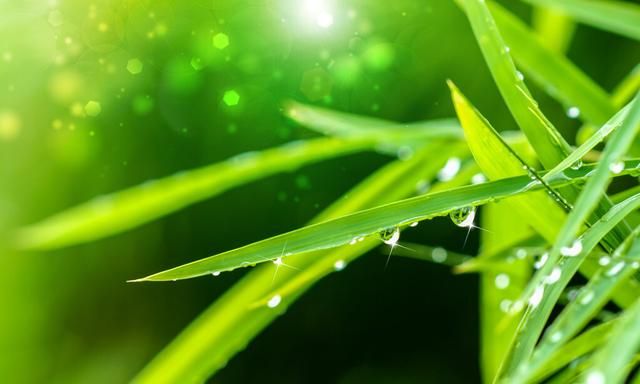 古诗中怎么写雨(春路雨添花古诗词)图3