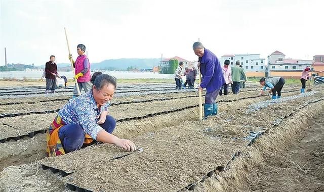 农村人怎么解决贫困,贫困证明怎么写农村图3