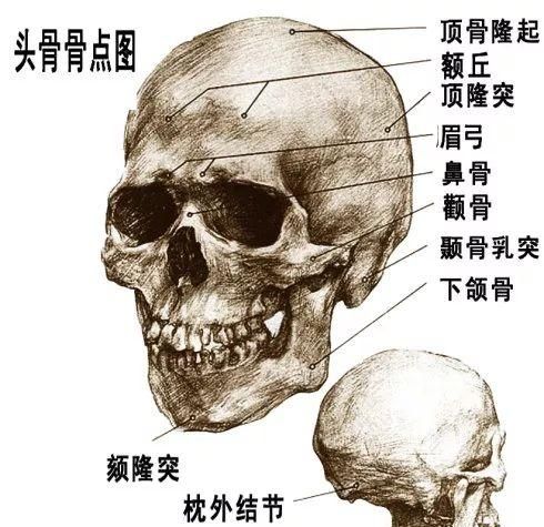 素描头像如何画出皮肤质感图9