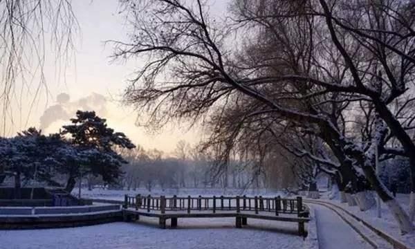 东北师范大学计算机系哪个专业好图3