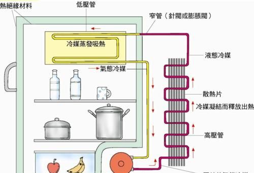 冰箱噪音大是怎么回事(冰箱噪音大是怎么回事啊)图5