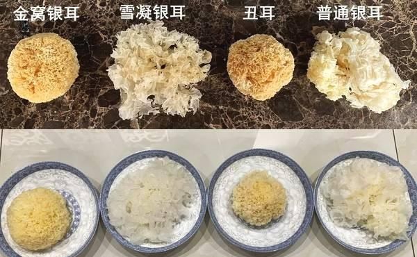 农村常见有毒的蔬菜是哪些(有毒蔬菜小常识)图4