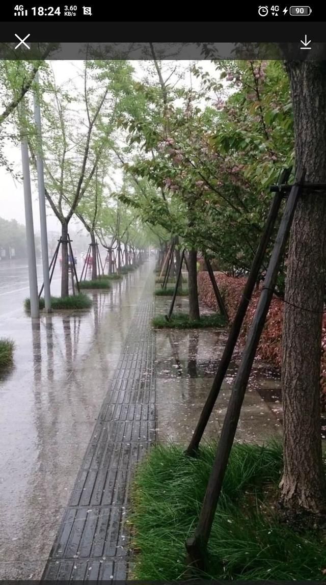 怎么不提雨字描述雨很大图4