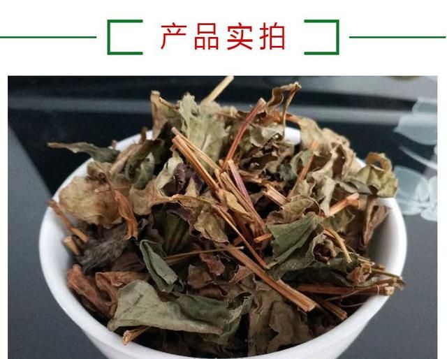 鱼腥草有什么作用,鱼腥草嫩根功效作用图8