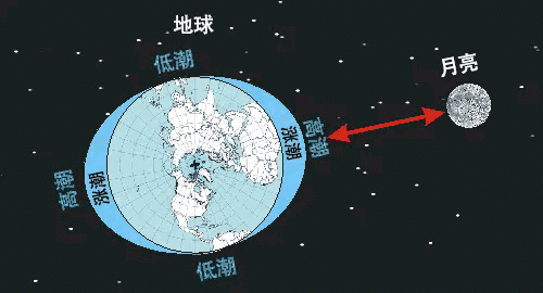 玉兔号在本次月面探测有哪些科学发现嫦娥3号图3