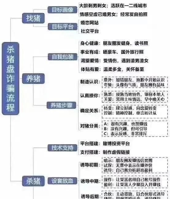 社交软件陌陌和探探哪个好图10