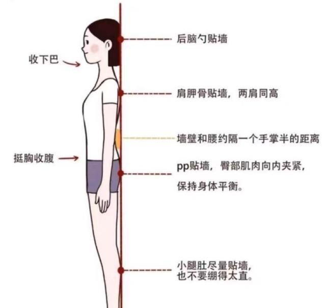 女性吃什么抗衰老补胶原蛋白(女性养生抗衰老)图3