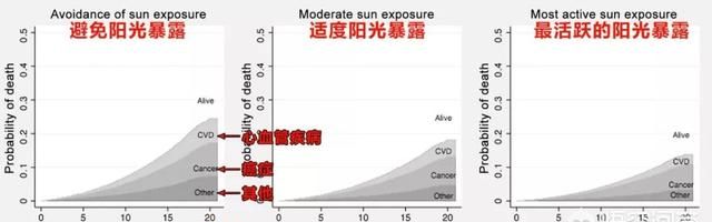 晒太阳有什么好处吗,男性裸晒太阳有什么好处图4