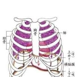 感觉横隔膜的位置有点憋气图2