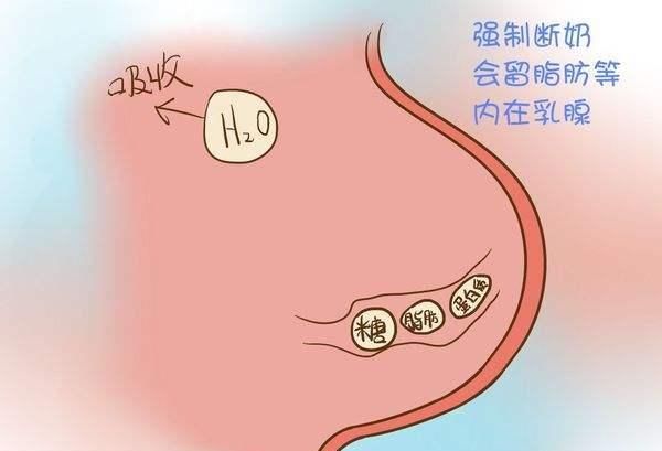 断奶后到底该不该排残奶图7