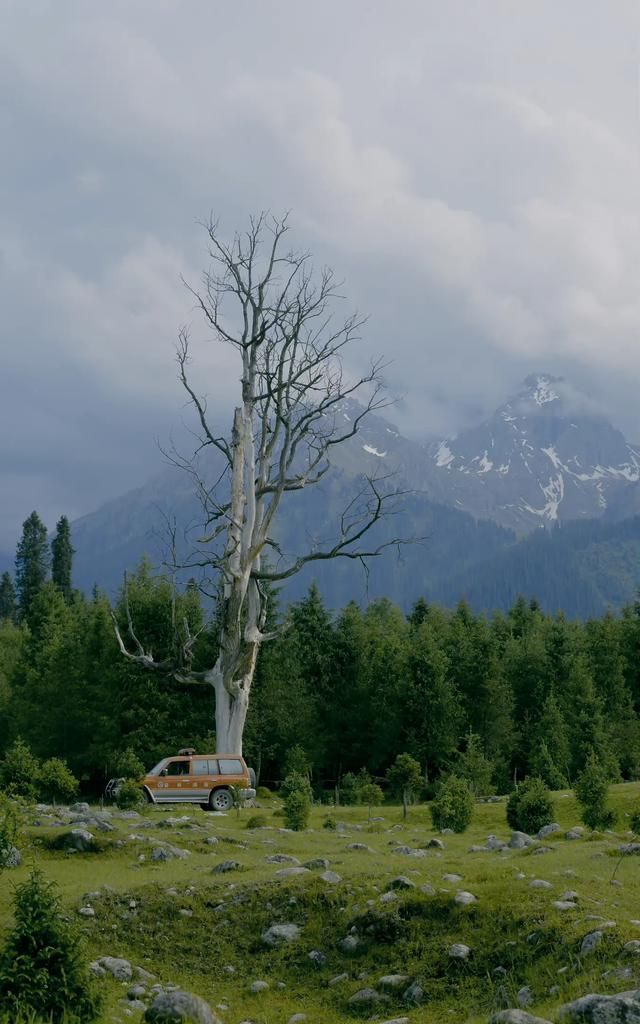 旅行中如何优雅地发朋友圈,西藏旅行文案朋友圈高质量图3