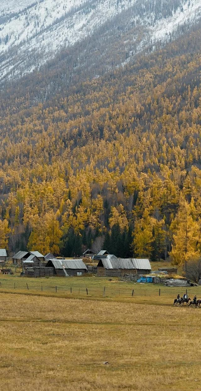 旅行中如何优雅地发朋友圈,西藏旅行文案朋友圈高质量图14