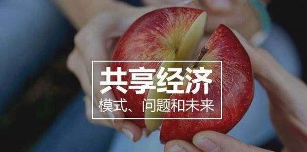 为什么共享经济会突然火热,为什么共享经济会出现图1