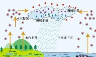 如果下一万年雨人类会不会灭绝图3