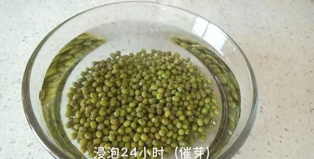 如何种豆芽(如何种豆芽苗)图8