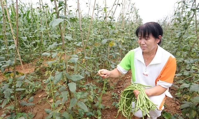 医院特需门诊和专家门诊什么区别图8