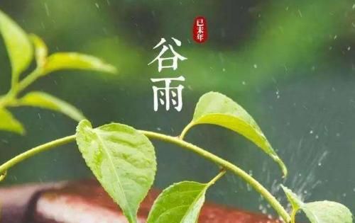 谷雨是什么季节,是几月几日(谷雨是什么季节谷雨的俗称是什么)图1