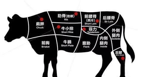 怎样挑选牛肉,怎样挑选牛肉炖着吃图1