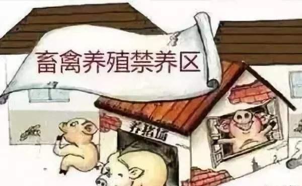 养猪的粪便会污染环境吗?该怎么解决呢图5