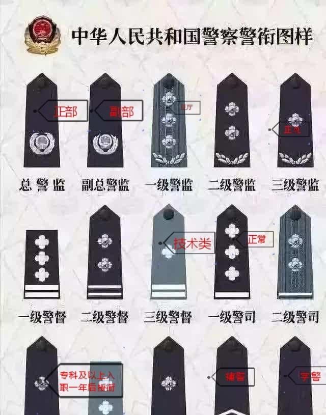 中国警察是怎么分等级的呢图4