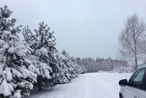 下雪天新手开车有什么需要注意的事项图9