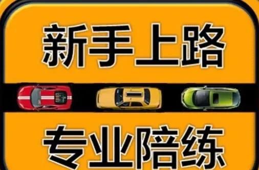 新手怎么开车,新手怎么开车最安全图1