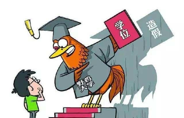 野鸡大学没有证为什么还存在图2