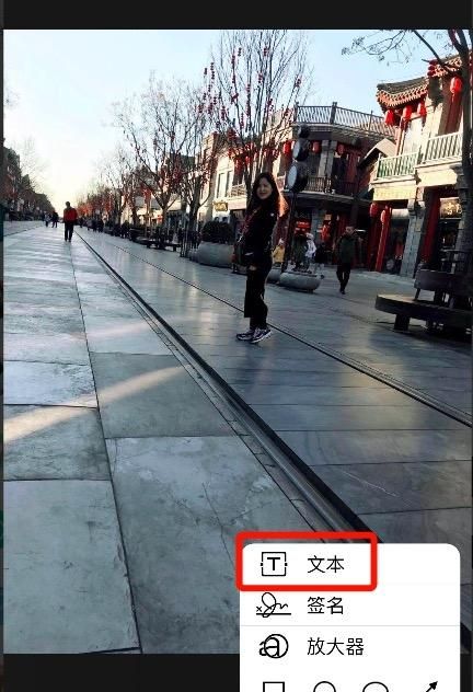 苹果手机如何在照片上添加文字(怎样在苹果手机的照片上添加文字)图8