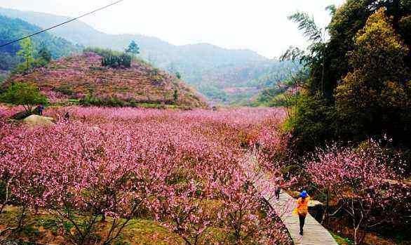 五一旅游安阳免费景点推荐(河南安阳旅游景点排名前十)图1