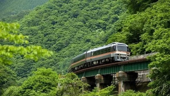 有没有北海道札幌市区的美食推荐图30