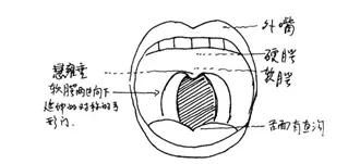 如何模仿明星的声音,盘点模仿明星声音图3