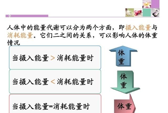 跑步多久能减肥(跑步多久能减肥十斤)图1