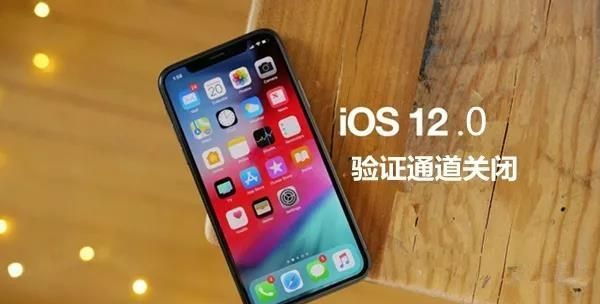 苹果ios12.0.1还能降回ios12吗图1