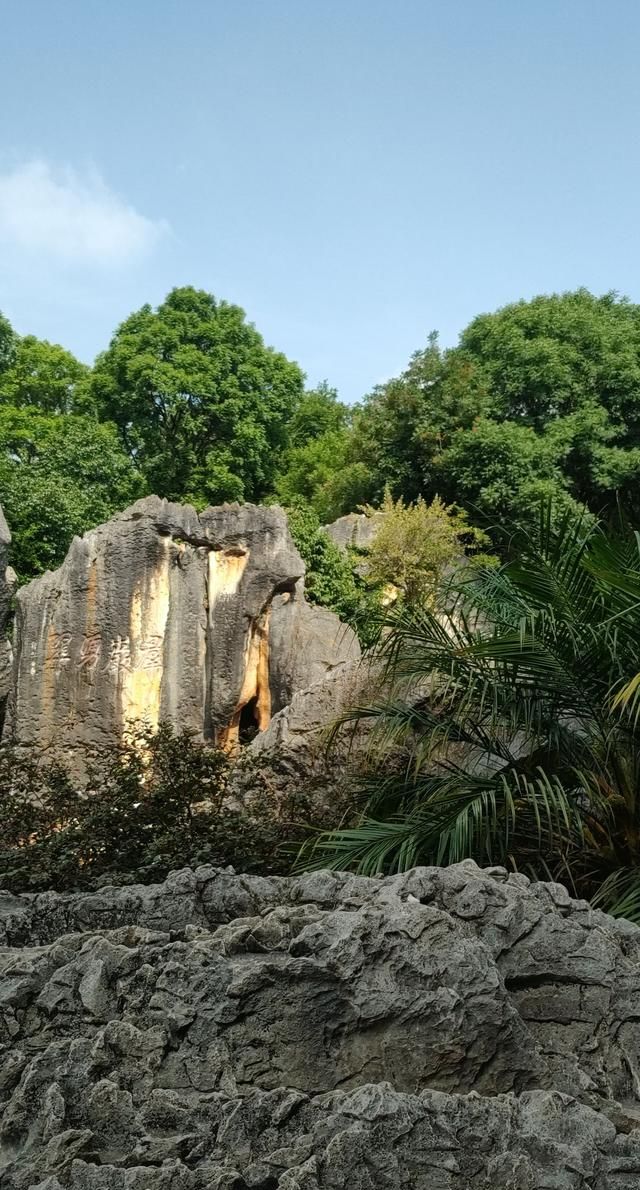 老年人外出旅游注意事项有哪些图4